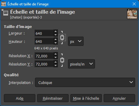 Optimisation d'images - Chaton - Echelle et taile