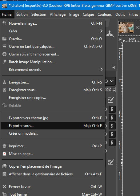 Optimisation d'images - Chaton - Exporter sous