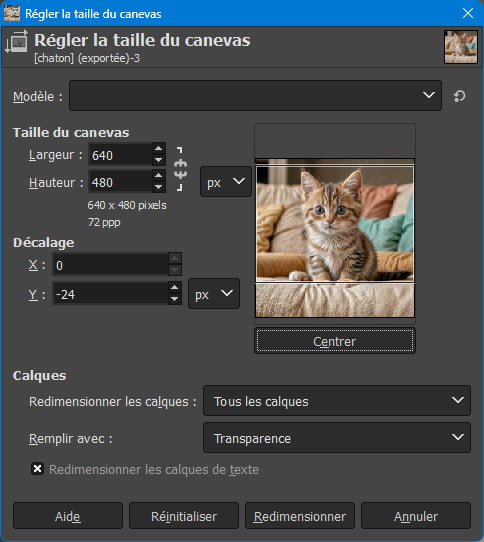 Optimisation d'images - Chaton - Régler la taille du canevas