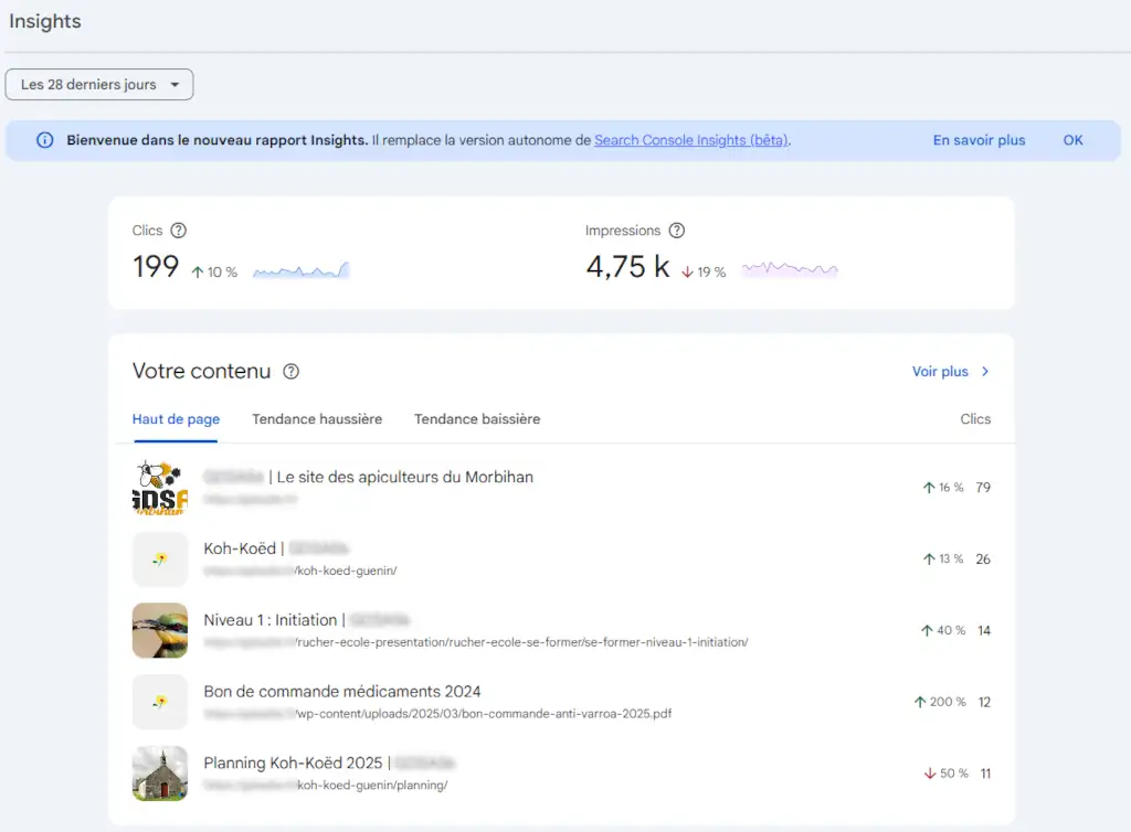 Rapport Insights Google Search Console - PG Concept