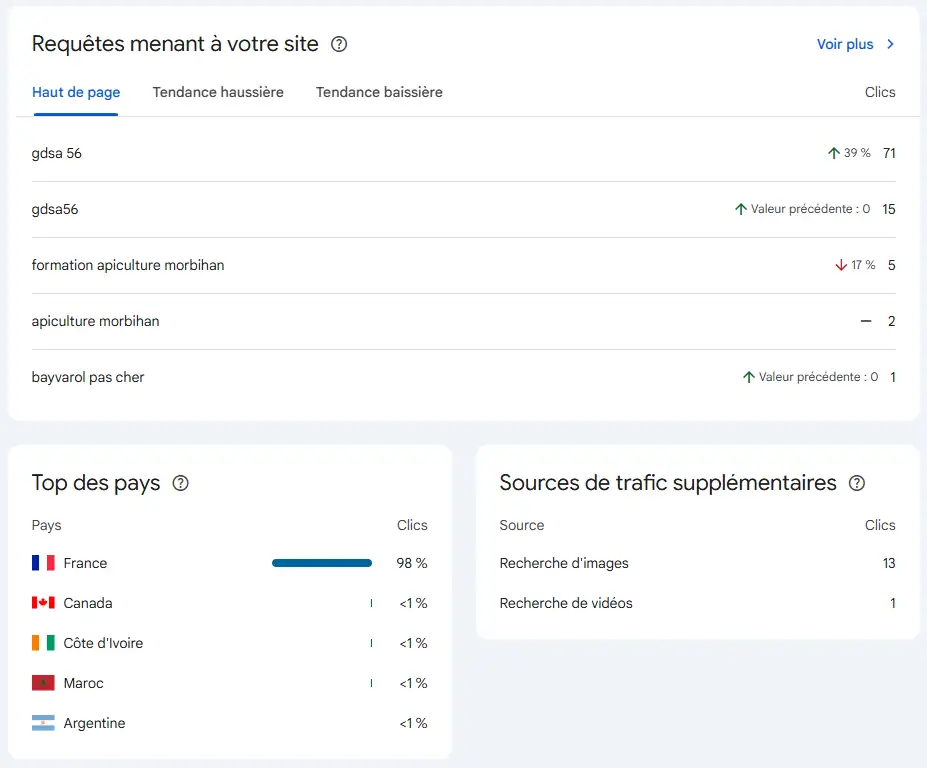 Rapport Insights Google Search Console - PG Concept
