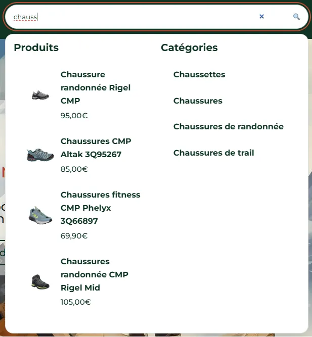 Refonte du site e-commerce d'un magasin de sport : quand WordPress s’adapte au métier 2 Barre de recherche instantanée du site Skitop - PG Concept